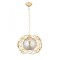 Modi Lighting Tekli Halka Gold Avize 35cm Mod-CKR-0053