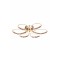 AVONNI AR-7014-6112-6BKR Modern Avize  0cm