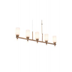 AVONNI AV-60462-5EY Eskitme Kaplama Modern Avize E27 Metal Cam 15x80cm