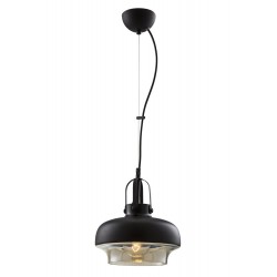 AVONNI AV-5064-1BSY Siyah Boyalı Modern Avize E27 Metal Cam 25cm